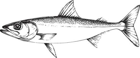 Minimalist black outline of a mackerel fish, design. vector