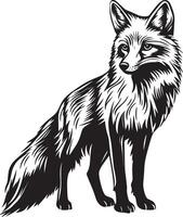 Black fox contour graphic vector