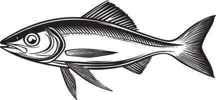 Black illustration of a herring fish in outline style. vector