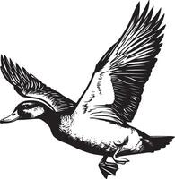 Black illustration of a flying duck in outline style. vector