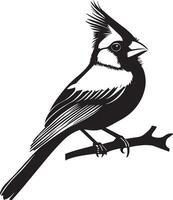 Minimalist black outline of a cardinal bird, design. vector