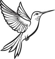 Hummingbird flying outline black illustration vector