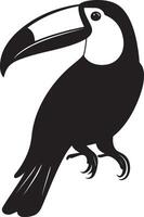 Toucan bird simple silhouette black illustration vector