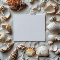 Natural collection of seashells arranged around a blank card on sandy background photo