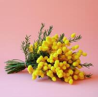 Bright yellow bouquet of mimosa flowers on soft pink backdrop photo