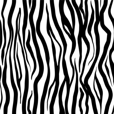 Abstract zebra skin black stripes seamless pattern design
