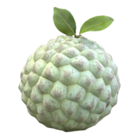 Sugar Apple Custard Apple or Cherimoya Isolated on transparent Background png