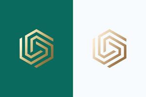 Modern Hexagonal Geometric Linear Logo Design for Corporate Branding Luxury vector