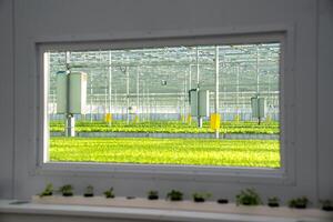 Window from laboratory to greenhouse with fields and irrigation system. Watering control, monitoring photo
