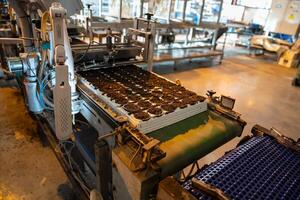 Pots receive even soil mixture in automatic pallet fill process in laboratory. Low labor setup photo