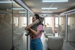 Pet hotel staff gently hold cat, comfort while owner absence. Easy separation, adaptation, consoling photo