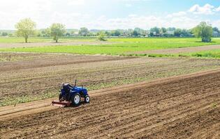 A farmer on a tractor cultivates a farm field. Field preparation for new crop planting. Cultivation equipment. Grinding and loosening soil, removing plants and roots from past harvest. Farm landscape photo