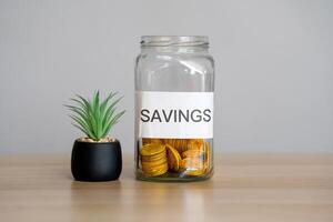 Bank of coins Savings and flower. Home budget and fund. Money management. Income that set aside for future use. Financial security, prepare for emergencies. photo
