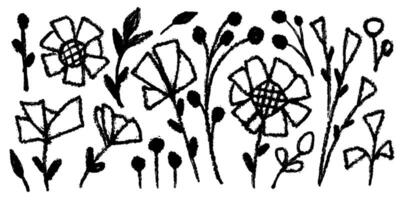 Set of flowers, leaves, floral stems. Wild plants drawing with grunge brush. Black and white botanical elements. illustration. Primitivism. Decorative flowers vector