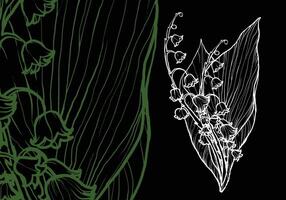 Easy to edit, ready to use lily of the valley. Hand drawn outline of this beautiful flower in dark green and white. Template for cards, banners or a beautiful elegant background. vector