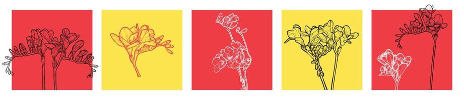 Hand drawn line art freesias on square format for social media visuals. vector