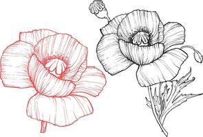 Red and white poppies on a white background. flowers hand drawn in a beautiful outline filled with details. Easy to edit, ready to use. vector