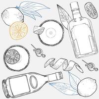 Sidecar cocktail hand drawn line art with triple sec and brandy bottle, lemons, lemon peel and lemon leaves. illustration, outline separate from fill. Easy to edit, ready to use. vector