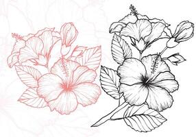 Hibiscus flower outline hand drawn for tea designs. Beautiful elegant flower fit for a white background design, a patterns or a card. vector