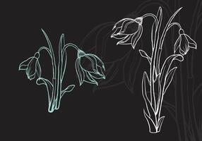 Hand drawn outlines of snowdrops that can be easily edited or used as they are in both print and online projects. Beautiful flowers on black background. vector