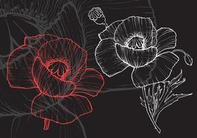 Red and white poppies on a dark background. flowers hand drawn in a beautiful outline filled with details. Easy to edit, ready to use. vector