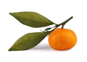 Ripe tangerine with a leaf and a twig isolated on a white background. Ripe mandarine . . photo