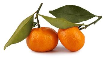 Two ripe tangerines with a leaf and a twig isolated on a white background. Ripe mandarine photo