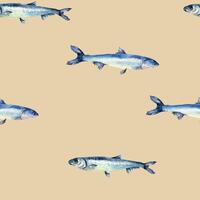 Small fishes anchovy on watercolor seamless pattern isolated. Fresh sea fish hand drawn endless background. Marine pattern with fish. Underwater sea design for package, textile, paper vector