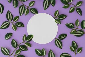 Spring and summer pattern composition made with green and white leaves on purple background with paper card note copy space. Minimal nature concept. Flat lay, top view. photo