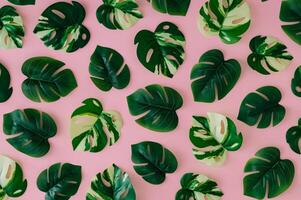 Trendy summer pattern made of green tropical leaves on light pink background. Minimal creative concept. Exotic backdrop flat lay image. Summer aesthetic. photo