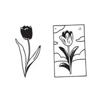 illustration of tulip vector