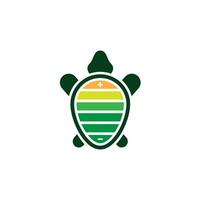 turtle with a shell vector