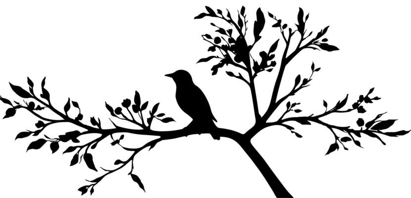 Bird on tree branch silhouette with a white background