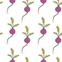 Pattern with beets on a white background. Vegetable seamless pattern with beet, radish, radish, root vegetable vector