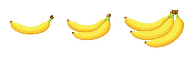 Set of different types of bananas isolated on a white background. Illustration of bananas in cartoon style. Flat style. vector