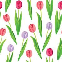 Seamless pattern with pink, fuchsia and lilac tulips in cartoon style. Pattern isolated on white background. vector