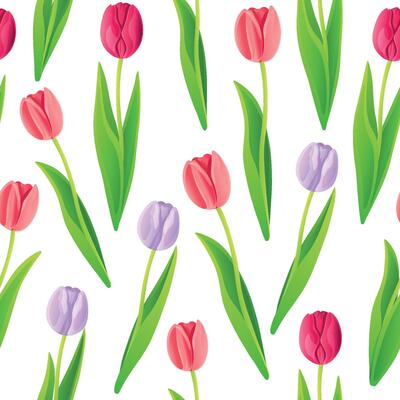 Seamless pattern with pink, fuchsia and lilac tulips in cartoon style. Pattern isolated on white background.