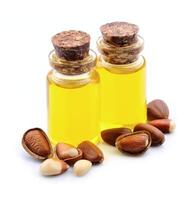 Cedar oil and pine nuts photo
