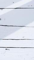 close-up view of horizontal white weathered wooden planks photo