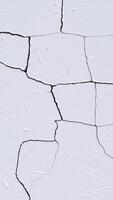 close-up view of a white textured surface with a network of cracks photo