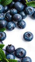 close-up of fresh blueberries with mint leaves on white background photo
