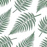 Soft green fern leaves seamless tile pattern with delicate fronds symbolizing new life and renewal concept as Soft green ferns with delicate fronds create a seamless tile pattern s Clean vector
