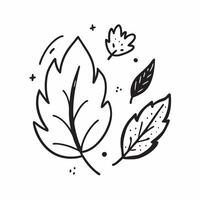 Rustic autumn leaves seamless pattern with deep earth tones and organic shapes for a natural earthy design concept as Rustic autumn leaves pattern with earth tones and organic shap Clean Set 3 vector