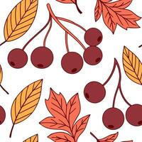 Juicy cranberry seamless tile pattern with deep red berries and autumn leaves concept as Deep red cranberries and autumn leaves form a juicy cranberry seamless tile pattern perfect Clean vector