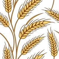 Golden harvest wheat seamless tile pattern with autumn textures and warm hues concept as Golden wheat stalks with autumn textures create a harvest wheat seamless tile pattern full Clean vector