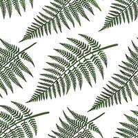 Fresh fern seamless tile pattern with intricate fronds and rich green tones for spring freshness concept as Fresh fern fronds with rich green tones and intricate details create a s Clean vector