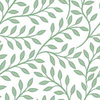 Elegant spring nature seamless pattern with delicate vine patterns and soft green hues for refined natural designs concept as Refined spring nature pattern featuring delicate vines Clean Set 2 vector