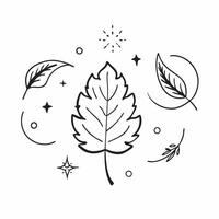 Elegant autumn seamless pattern with rich golden leaves and intricate details for a refined seasonal aesthetic concept as Refined autumn pattern with golden leaves and intricate de Clean Set 4 vector