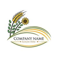 a wheat field with a sunflower and wheat in the middle white background vector