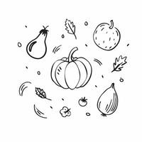 Bright autumn harvest seamless pattern with colorful pumpkins squashes and gourds for a festive fall look concept as Festive autumn harvest pattern with colorful pumpkins squashes Clean vector